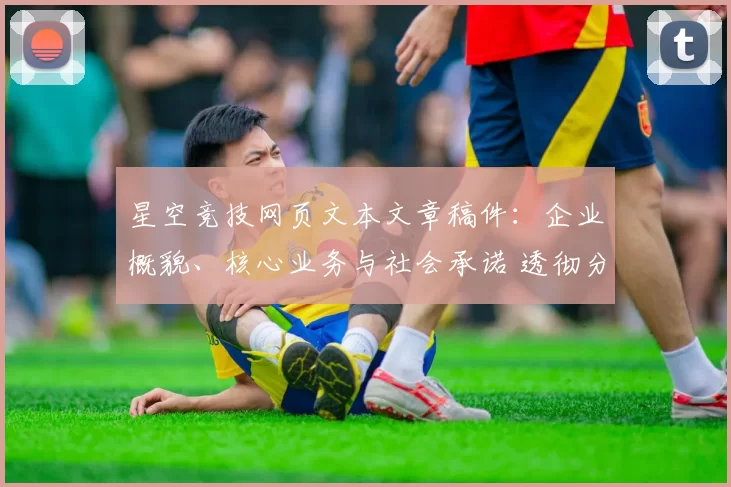 星空竞技网页文本文章稿件：企业概貌、核心业务与社会承诺 透彻分析
